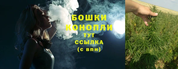 a pvp Каменногорск
