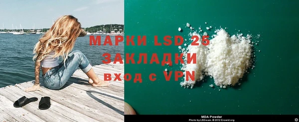 прущие грибы Касимов