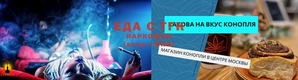 прущие грибы Касимов