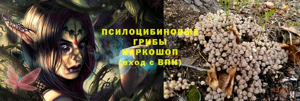 стафф Карталы