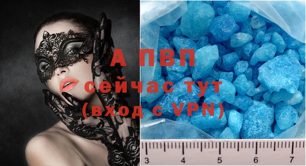 прущие грибы Касимов