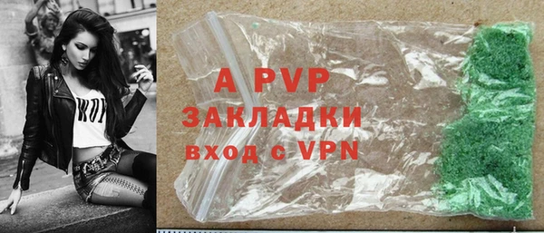 прущие грибы Касимов