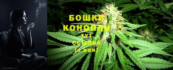 стафф Карталы