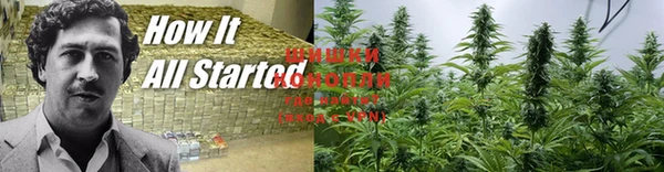 кокс Карпинск