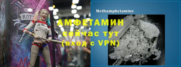 прущие грибы Касимов