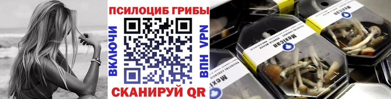 Псилоцибиновые грибы прущие грибы Ковдор