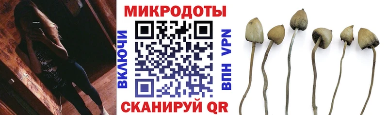 Псилоцибиновые грибы Cubensis  Ковдор 